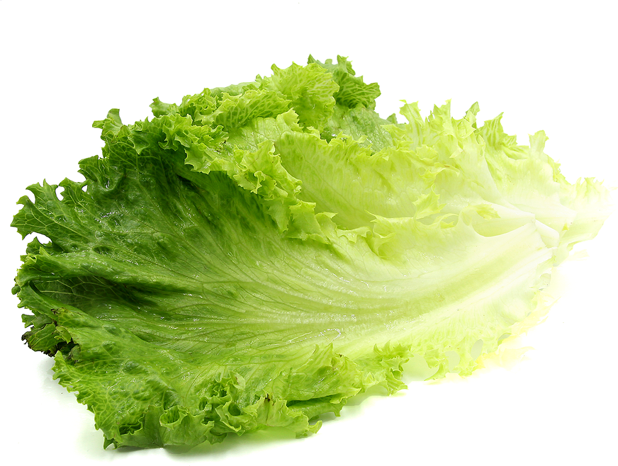 Lettuce