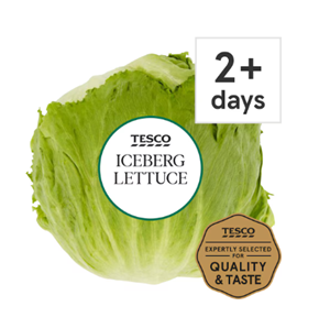 Icebug Lattuce